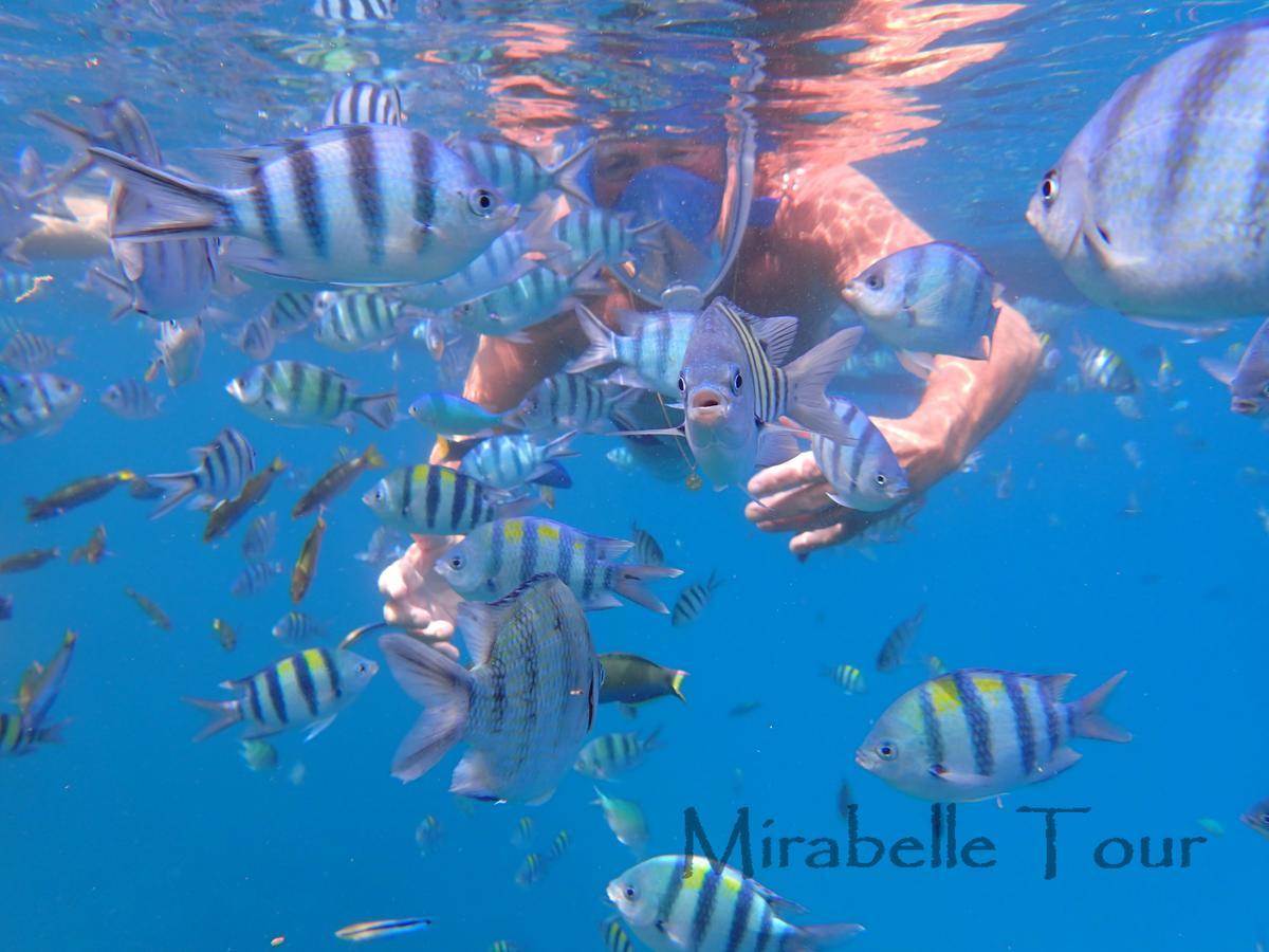 Mirabelle Joglo Village 카리문자와 외부 사진